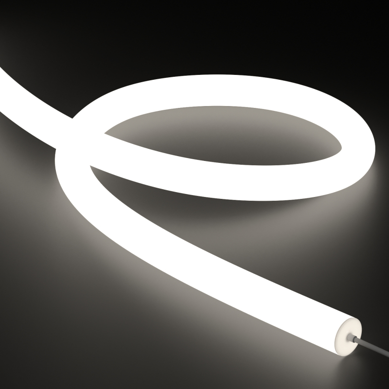 NNR40-White light-24V(HP)